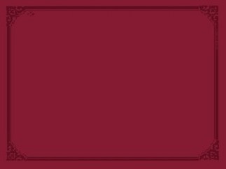 PLACEMATS BORDEAUXROOD 31x42  cm.