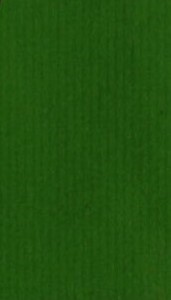 KRAFTPAPIER 50 cm NATUURKRAFT GROEN