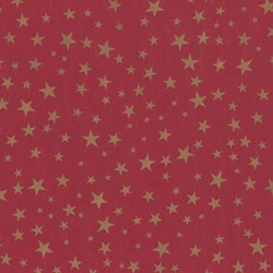 DESSIN INPAK CADEAU GESCHENK PAPIER rol Feest Bronze 50 cm 074 