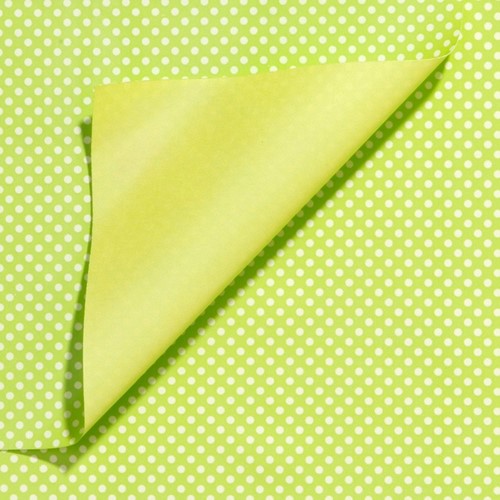 DESSIN PAPIER APPELGROEN / WITTE STIPPEN 40 cm 100 meter14953