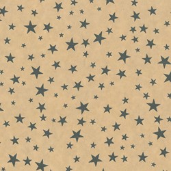 DESSIN INPAK CADEAU GESCHENK PAPIER rol Kerst Bronze 50cm 073