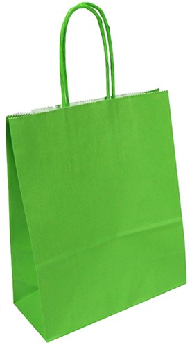 Papieren draagtas 22+10x31 cm + gedraaid papieren koord  groen kraft