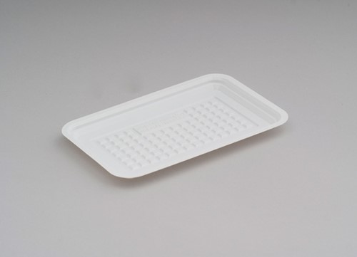 HARDPLASTIC VLEESWARENSCHAALTJE APET 10x16 cm  Transparant