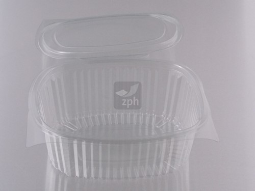 SALADEBOX 750 ML R-PET 182x139x59  Serie Standipack