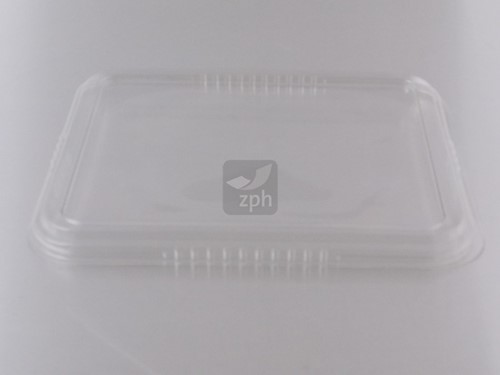 C-PET DEKSEL 226x177x13 mm voor serie B 161-169 BO