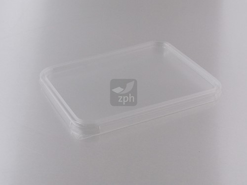 DEKSEL PS 183x135x10 mm Transp. 183R  0-100 graden C