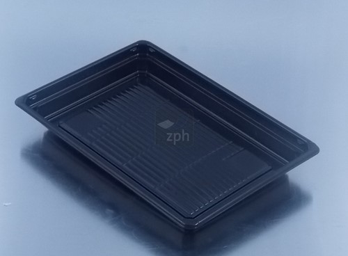 SUSHI TRAY BODEM 212x143x22 mm ZWART THERMOFORM apet Large cherry  blossom