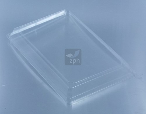 SUSHI APET DEKSEL Fancy 185x128x22 mm Glashelder tbv 43454