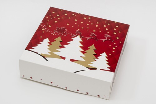 KRANSDOOS 1 pond 227x227x60 mm TWINKEL kerst
