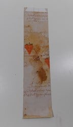 WIJNFLESZAK DRUIF BREED 18x40 (10x8x40)