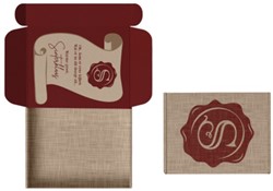 Brievenbus doos Sinterklaas 220x155x28 mm A5