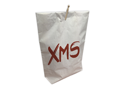 KERSTMIS  PAPERBAG 500x130x800 mm XMS + wasknijper  