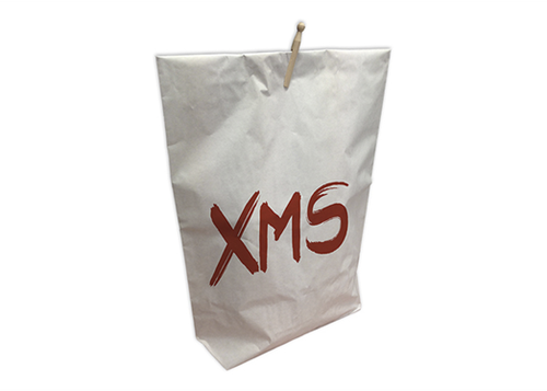KERSTMIS  PAPERBAG 500x130x800 mm XMS + wasknijper  