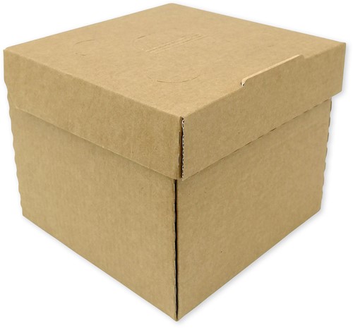 Menu hamburgerbox minigolf, vetwerend 117x116,5x99 mm plano  Regular , doos a 150 stuks-2