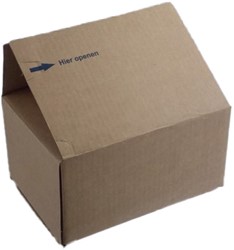 POSTDOOS FASTBOX MET AUTOLOCK BODEM 230x160x80 mm 