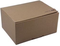 POSTDOOS FASTBOX MET AUTOLOCK BODEM 310x230x110 mm a4+ 