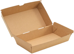 Loempia box / Saté box kraft karton bruin 205x108x78 mm  doos a 80 st. 