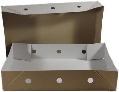 VLEESDOOS 10 kg 50x30x10 cm +  BODEM /  DEKSEL MASSIEF ZWARE KWALITEIT